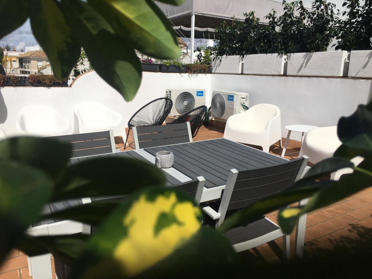 Loft Xerez Centro Lägenhet Jerez de la Frontera Exteriör bild